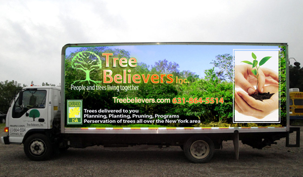 Tree Believer